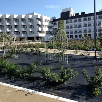 富士温泉病院　ＰＣＲ検査センター